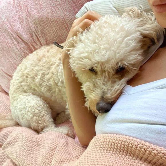 Meet your Posher, Michelle - Picture 3 of 8